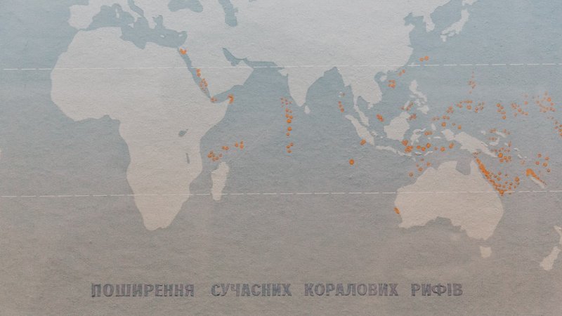 5 Emerging Markets for E-commerce 2026